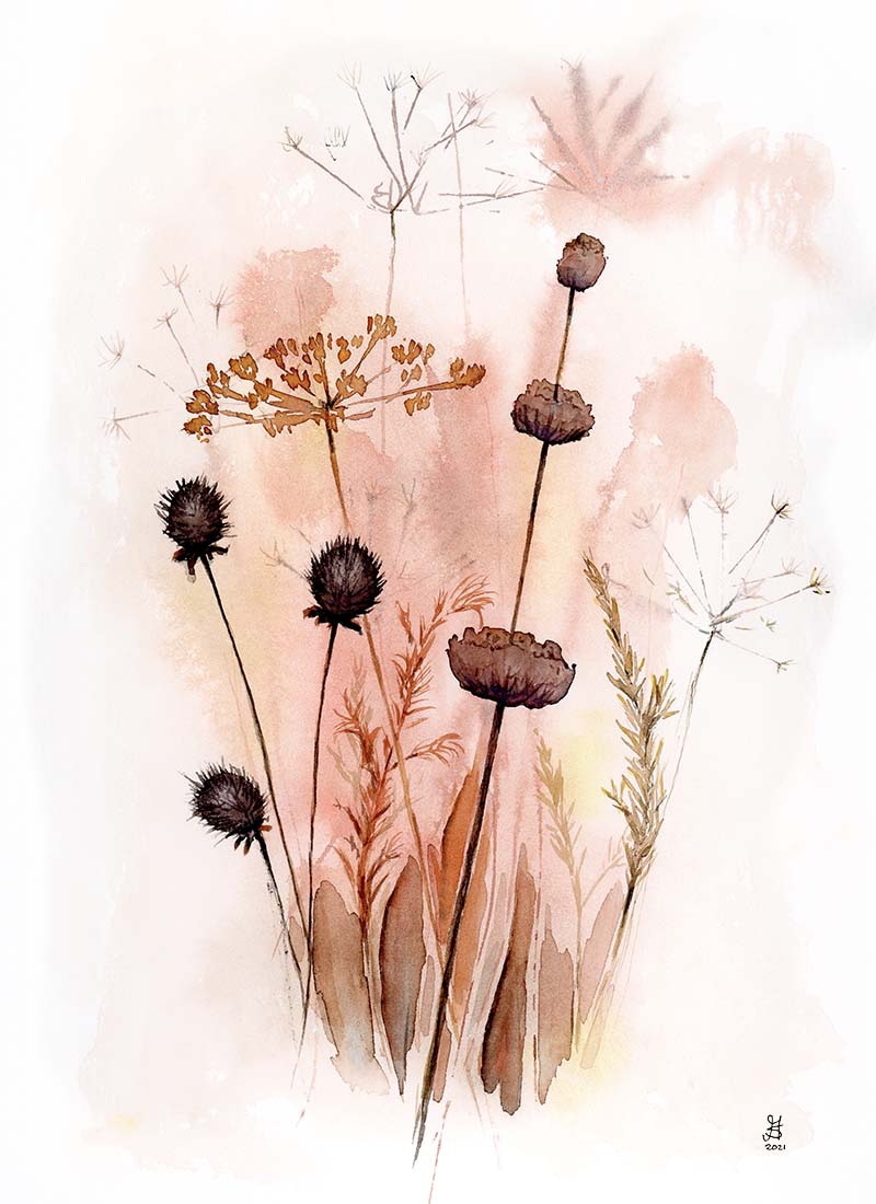 Autumn flowers